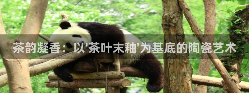 安信证券手机壳12