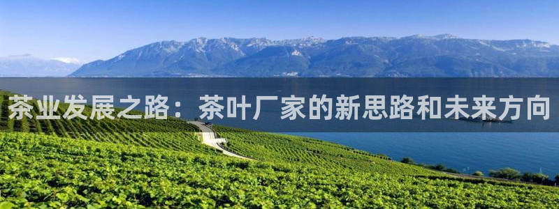 安信12平台