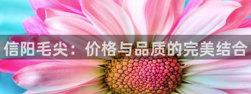 如何注销安信12软件