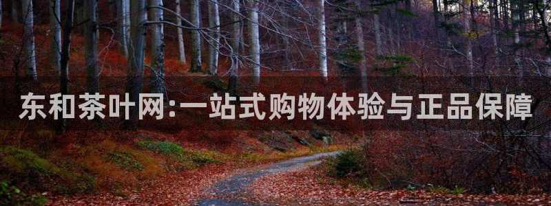 安信安翼 12账号