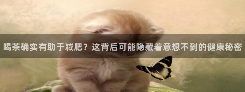 安信12平台可靠吗