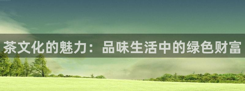信安12乐打棒