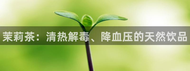 安信12真假
