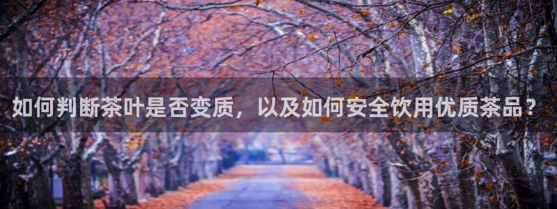 安信12平台最新消息