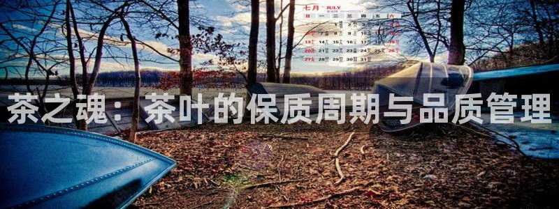 安信12怎么下载