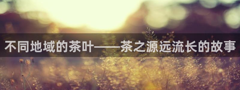 安信12娱乐平台