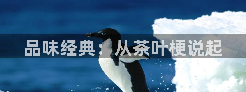 安信12周年庆典