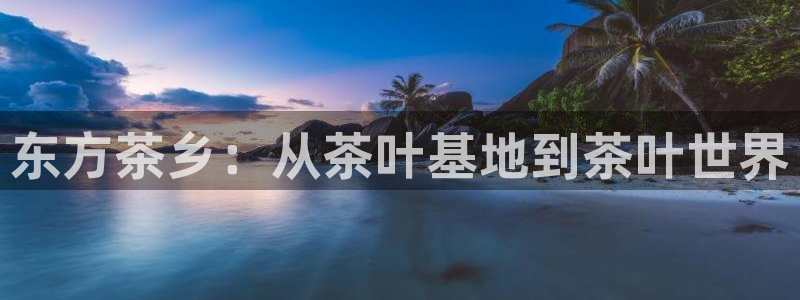 安信12是正轨网站吗