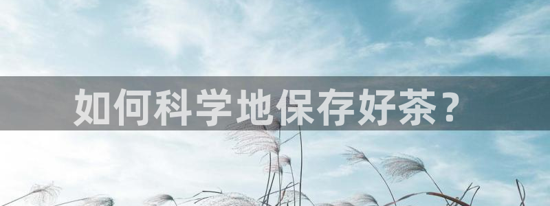 安信12彩票app下载