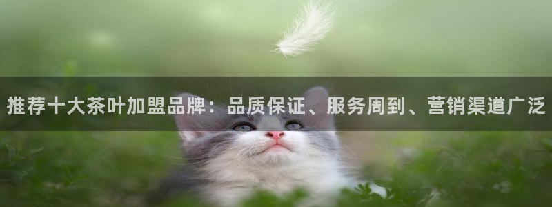 安信12是啥