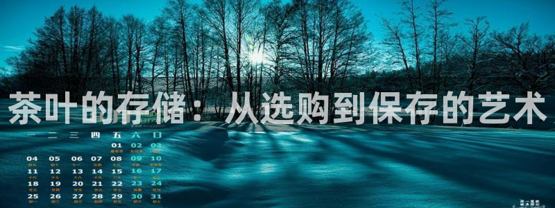 安信12是正轨网站吗