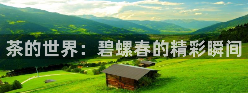 如何注销安信12软件