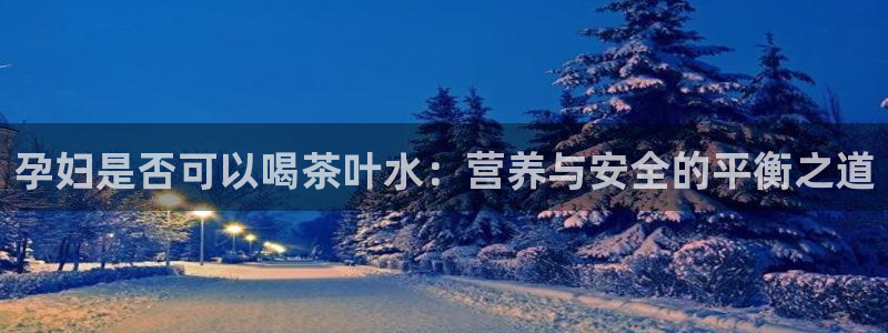 安信 12