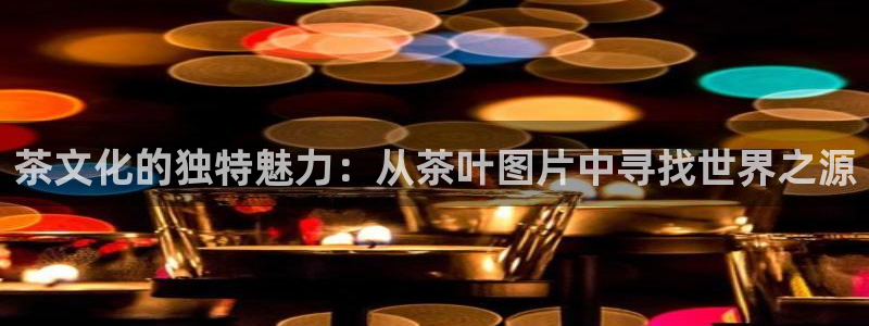 安信12负责人