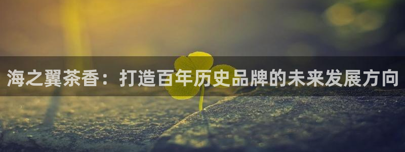 安信12彩票在线网址