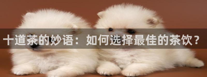 安信 12