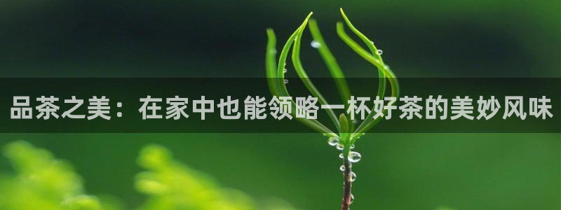 安信12真假