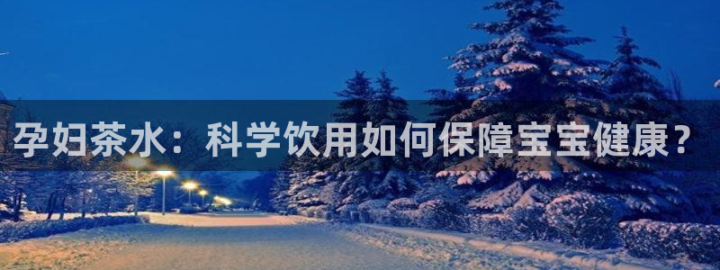 安信安赢12号