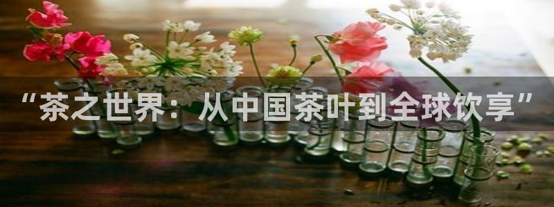 安信12平台
