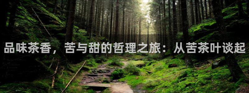 安信12软件介绍