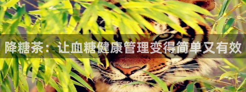 安信12想开户