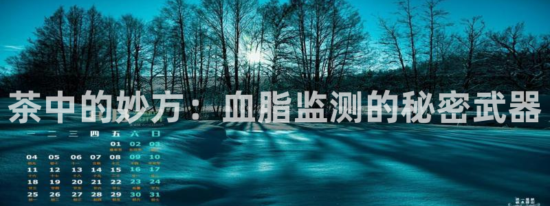 安信12正版下载