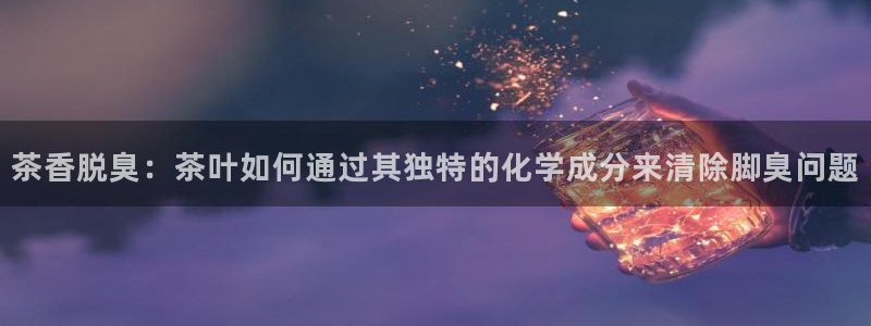 安信安赢12号