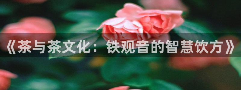 安信12官方下载