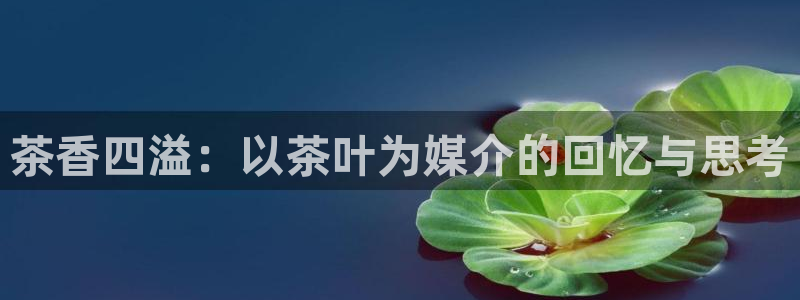 安信12级大众
