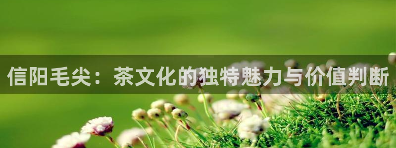 安信卓越12月