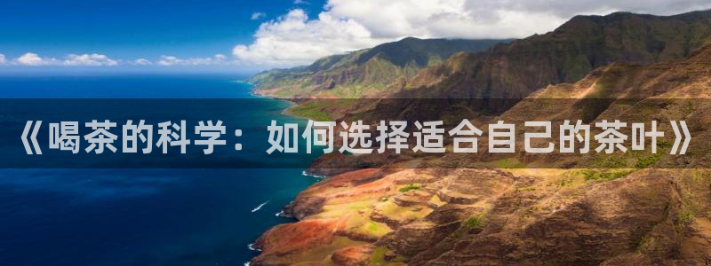 下载安信12