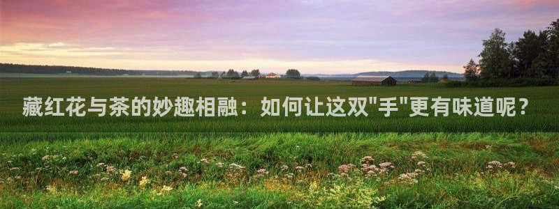 安信12网页版