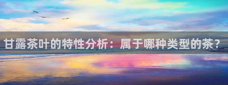安信12正版下载