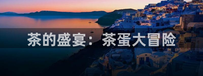 安信安翼 12账号