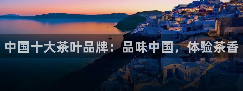 安信证券手机壳12