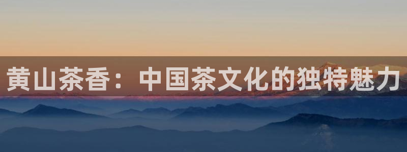 安信12招商