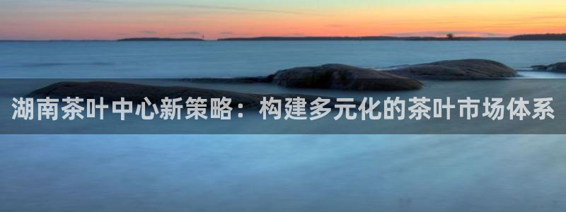 安信12级大众