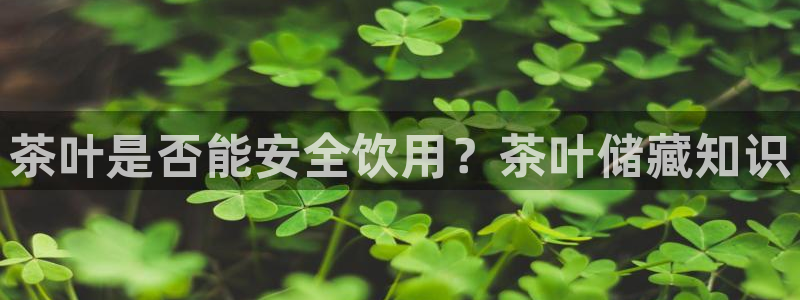 安信 12