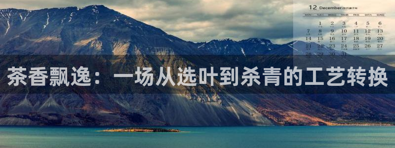 安信12是什么软件