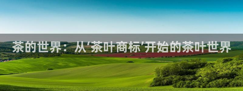 安信可12f代码