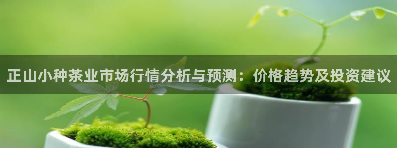 安信卓越12月