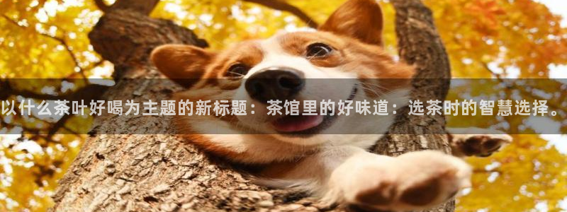 安信12平台