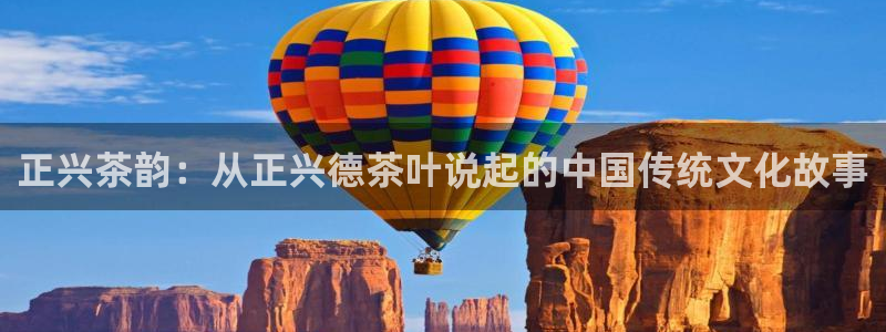 安信12专用挂机