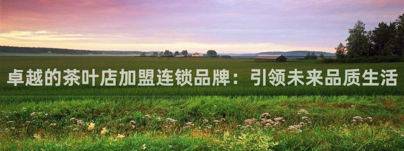 安信12平台开户
