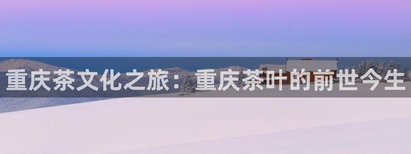 安信12软件介绍