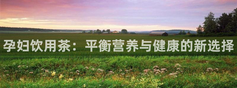 安信12平台最新消息