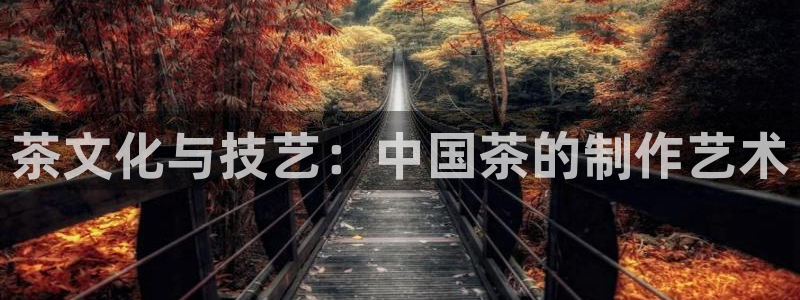 安信12专用挂机