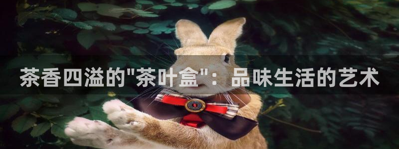 安信12娱乐代理