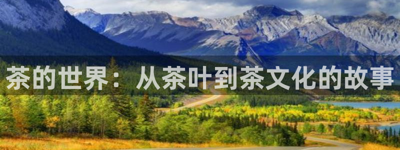 安信12娱乐代理