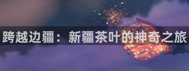安信主管su金12手12指tq